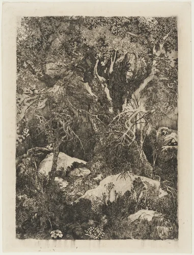 The Forest of Fontainebleau by Rodolphe Bresdin, print, 1880