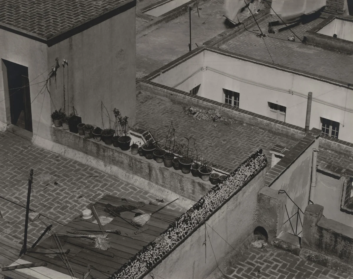 Roofs of Mexico City by Tina Modotti, photograph, 1923