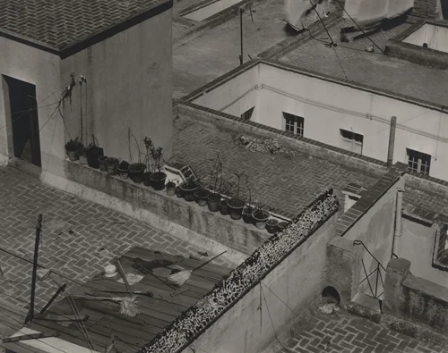 Roofs of Mexico City by Tina Modotti, photograph, 1923