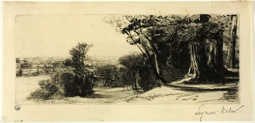 Early Morning, Richmond Park by Francis Seymour-Haden, print, 1859
