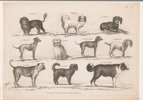 Hondenrassen by anonymous, print, 1750-1820