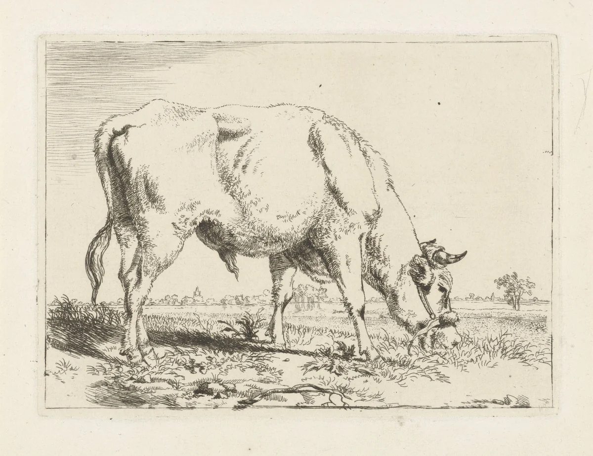 Grazende stier by Pieter Gerardus van Os, print, 1798