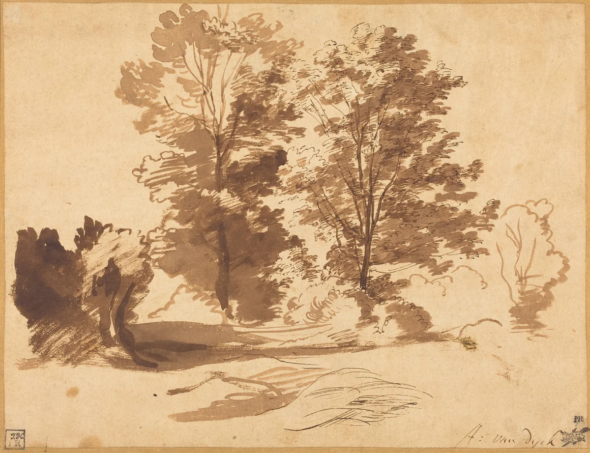 The Edge of a Wood by Anthony van Dyck, drawing, 1630-1640