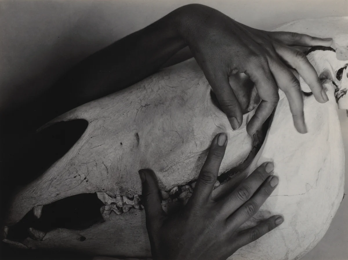 Georgia O'Keeffe—Hands and Horse Skull by Alfred Stieglitz, photograph, 1931