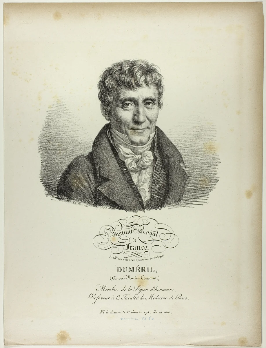 Portrait of André-Marie-Constant Duméril by Jules Boilly, print, 1822