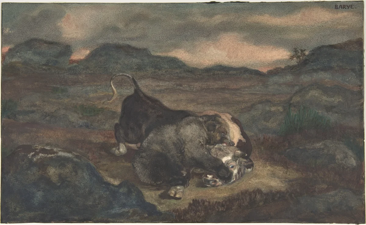Bear Killing Bull by Antoine-Louis Barye, drawing, 1810-1875