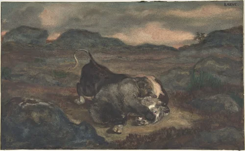 Bear Killing Bull by Antoine-Louis Barye, drawing, 1810-1875