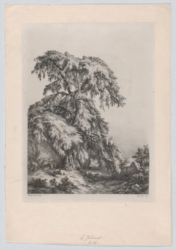The Juniper Tree, Fontainbleu by Eugène Bléry, print, 1840