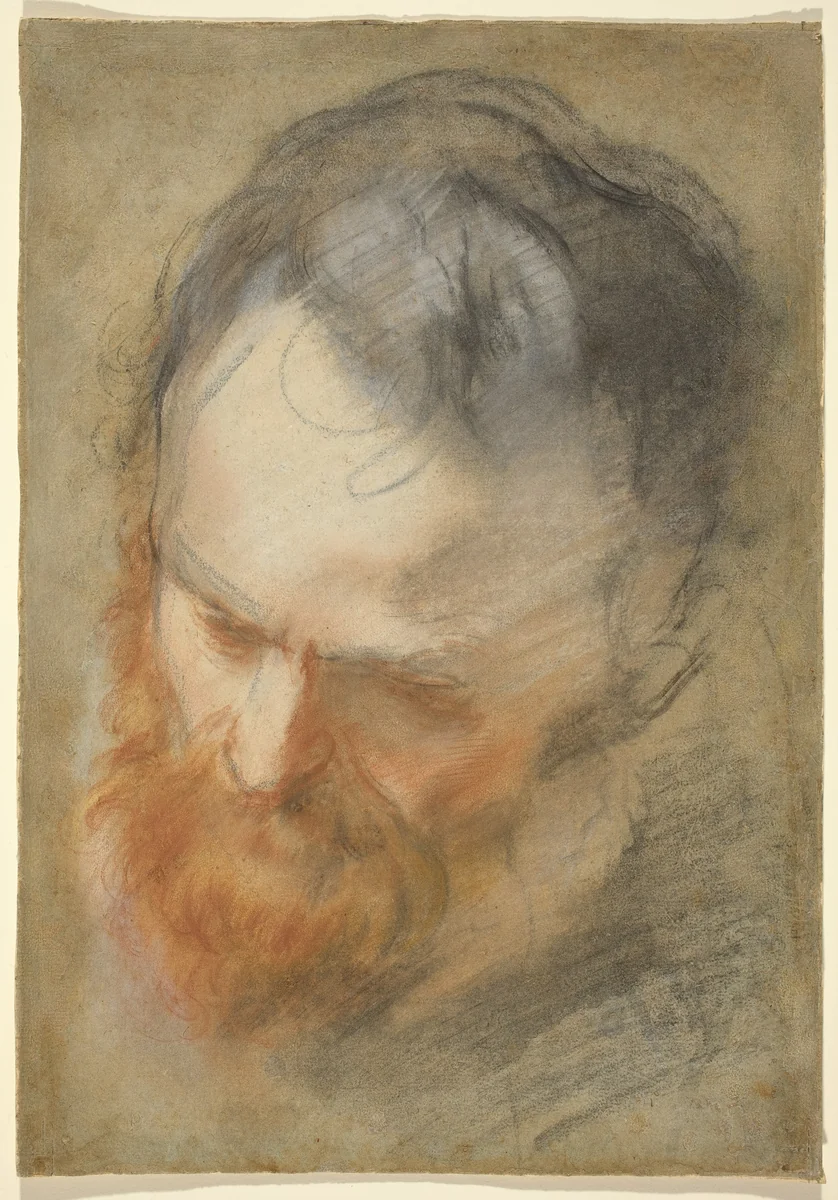 Head of a Bearded Man by Federico Barocci, drawing, 1579-1582
