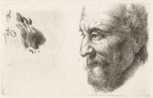 Gezicht van een oude man en profil by Johannes Mock, print, 1810-1884