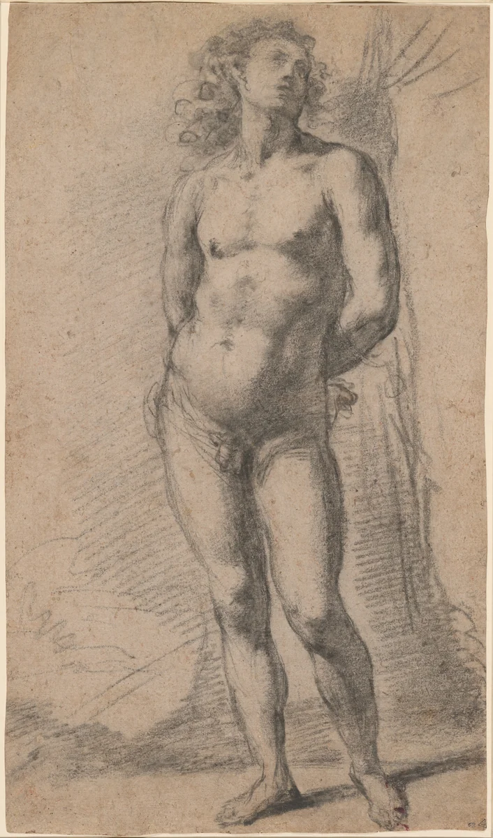 Study of a Standing Male Nude: Saint Sebastian by Jacopo Confortini, drawing, 1630-1672