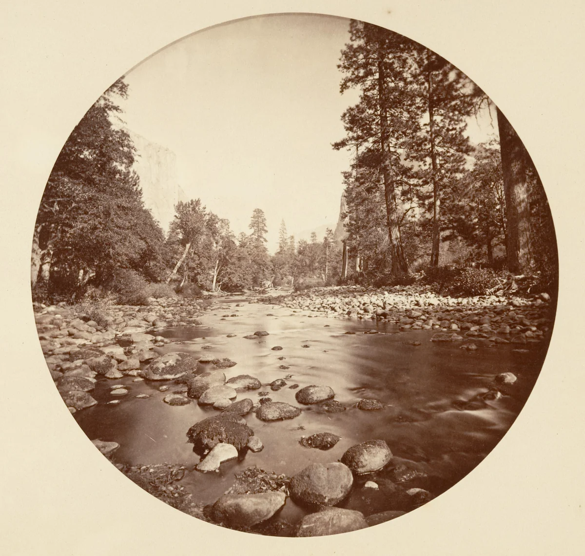 [Yosemite National Park, California] by Carleton E. Watkins, photograph, 1876-1880