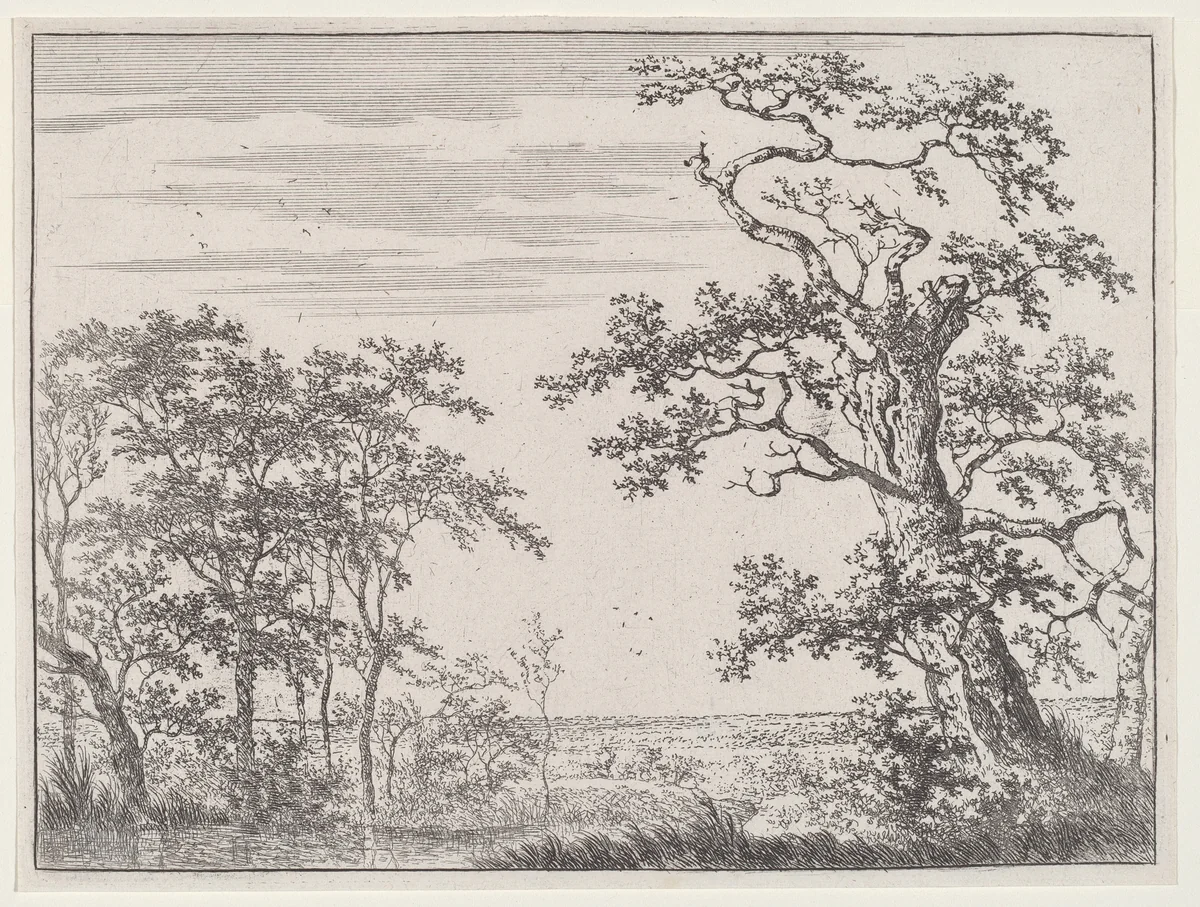 Landscape with a Stream and an Ancient Tree by Adriaen Hendricks Verboom, print, 1628-1670