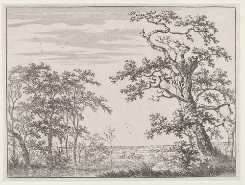 Landscape with a Stream and an Ancient Tree by Adriaen Hendricks Verboom, print, 1628-1670