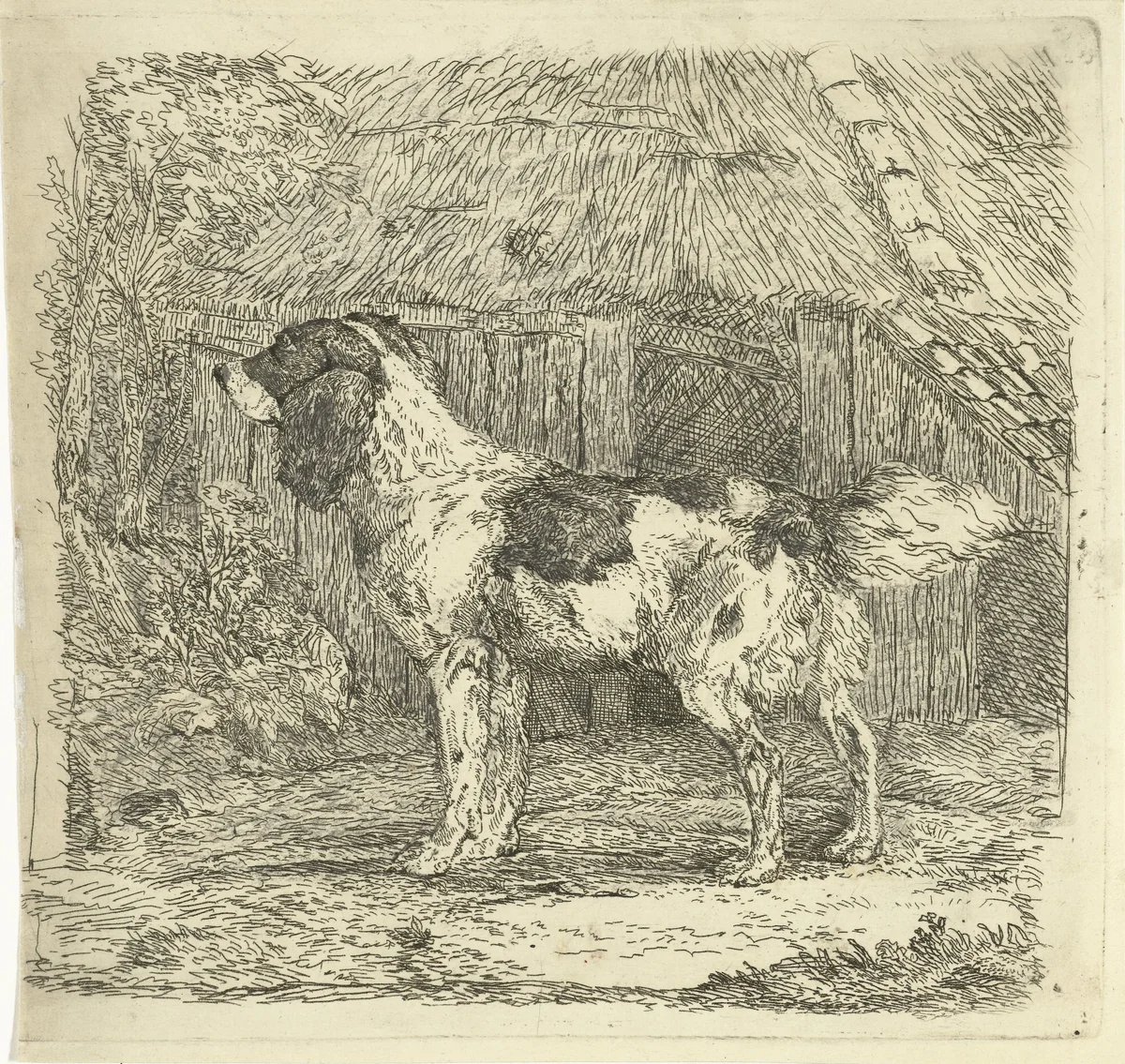 Hond staand bij hok by Jan Dasveldt, print, 1780-1855