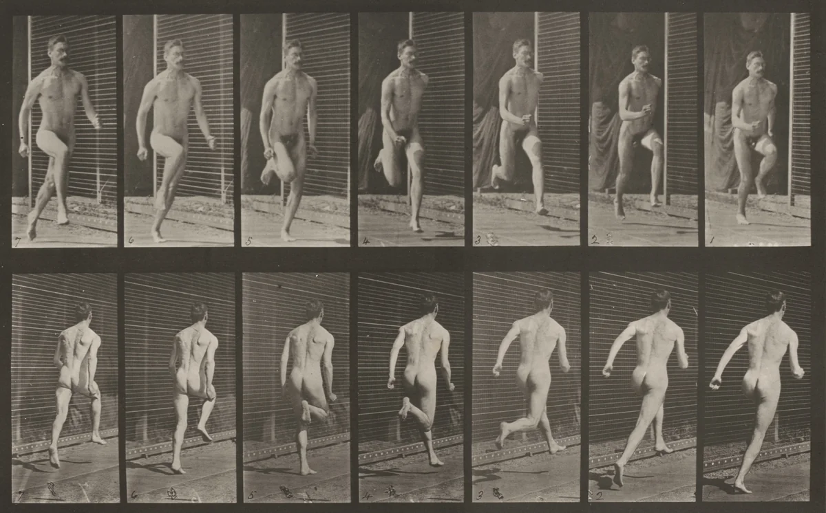 Plate Number 66. Running by Eadweard Muybridge, photograph, 1887
