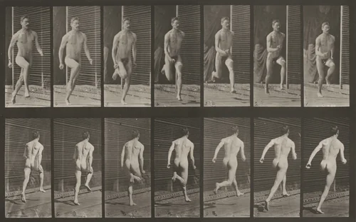 Plate Number 66. Running by Eadweard Muybridge, photograph, 1887