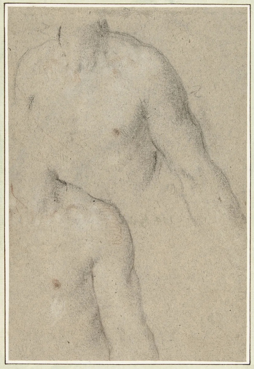 Twee studies van de torso van een jongeman by Carlo Caliari, drawing, 1580-1596