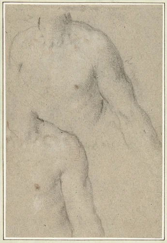 Twee studies van de torso van een jongeman by Carlo Caliari, drawing, 1580-1596