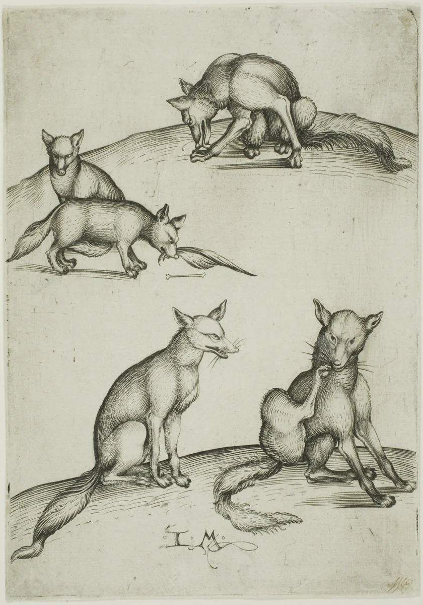 The Five Foxes by Israhel van Meckenem, print, 1485-1495