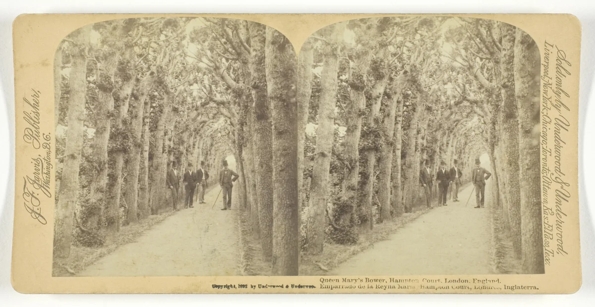 Queen Mary's Bower, Hampton Court, London, England by Underwood & Underwood, photograph, 1892