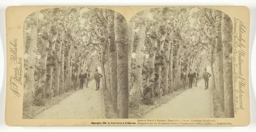 Queen Mary's Bower, Hampton Court, London, England by Underwood & Underwood, photograph, 1892