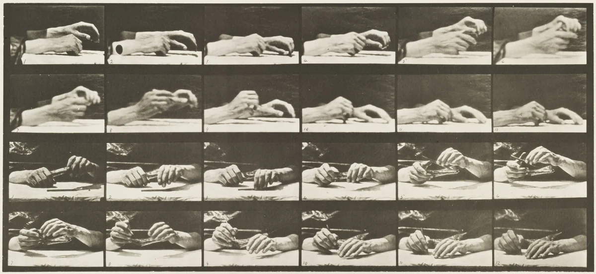 Movement of the Hand, Hand Changing Pencil: Plate 536 from Animal Locomotion by Eadweard Muybridge, photograph, 1884