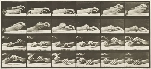 Movement of the Hand, Hand Changing Pencil: Plate 536 from Animal Locomotion by Eadweard Muybridge, photograph, 1884