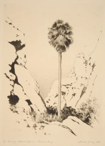 Palm Canyon (no.1) by George Elbert Burr, print, 1915-1925