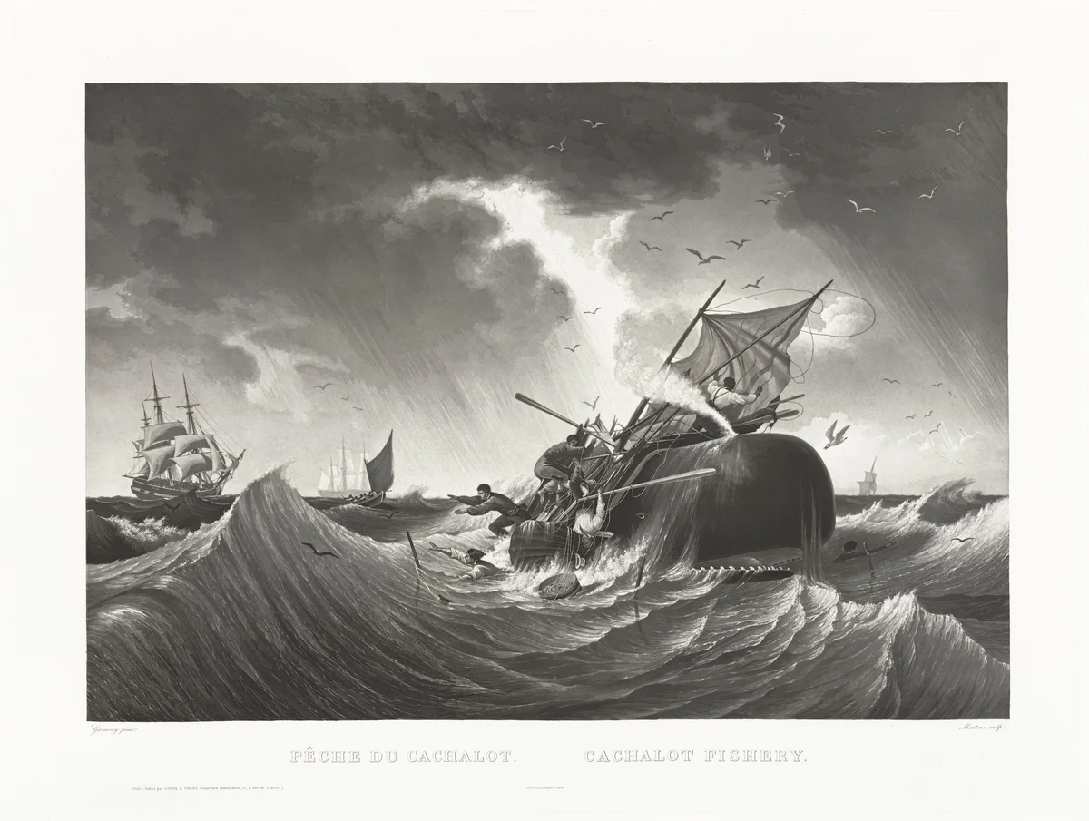 Pêche du Cachalot, Cachalot Fishery by Friedrich von Martens
Louis Garneray
Galerie Goupil & Cie, print, 1829-1839