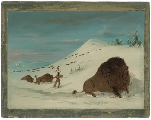 Buffalo Lancing in the Snow Drifts - Sioux by George Catlin, painting, 1861-1869