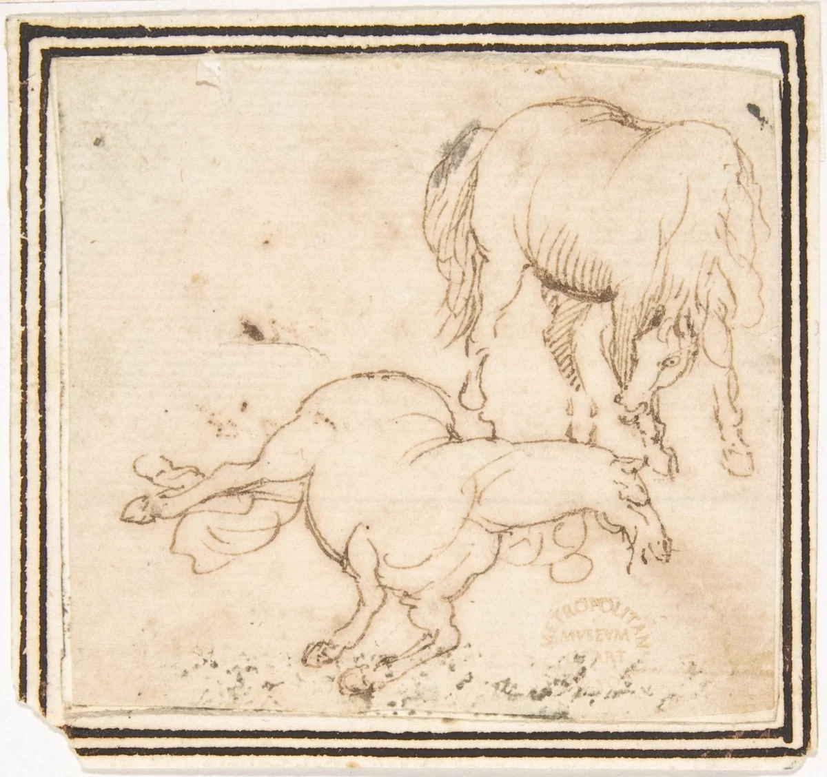 Horses by Francesco Allegrini, drawing, 1624-1663