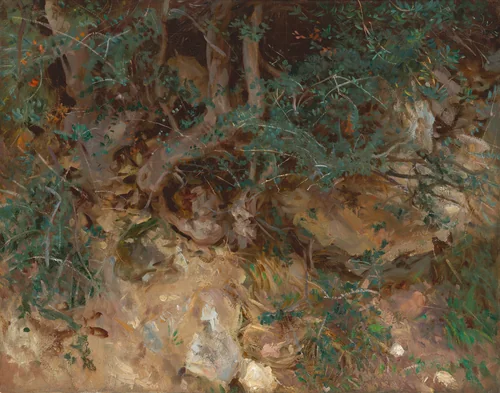 Wild Olive Tree Roots, Valldemosa, Majorca by John Singer Sargent, painting, 1908