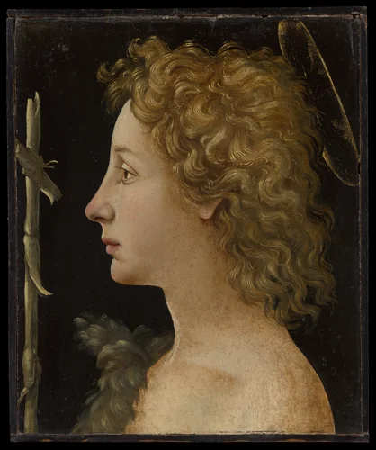 The Young Saint John the Baptist by Piero di Cosimo, painting, 1480-1482