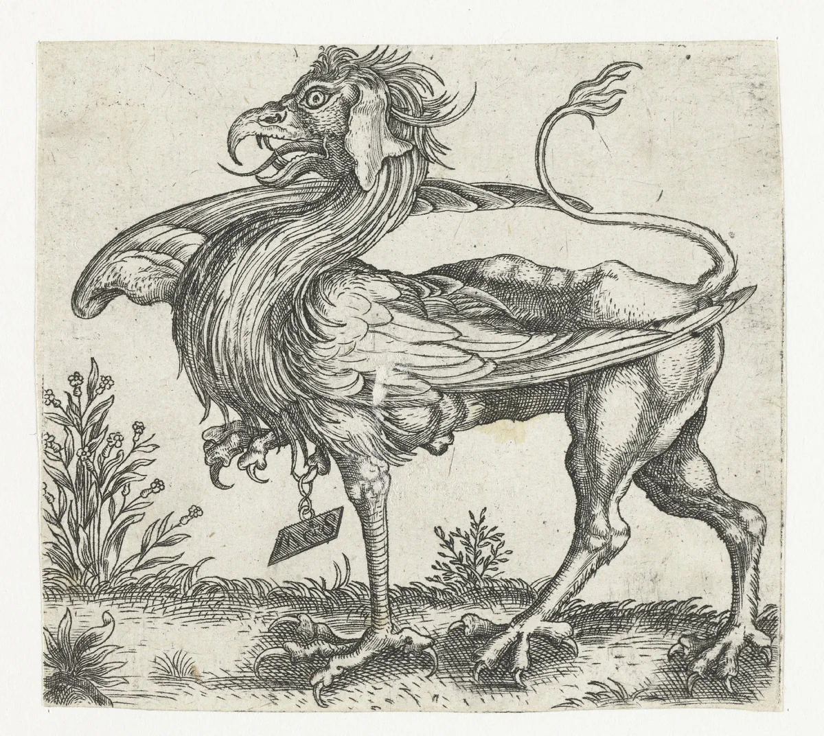 De griffioen by anonymous, print, 1500-1550