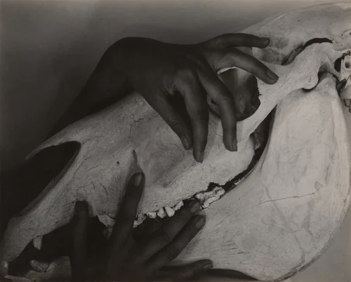 Georgia O'Keeffe - Hands and Horse Skull by Alfred Stieglitz, photograph, 1931