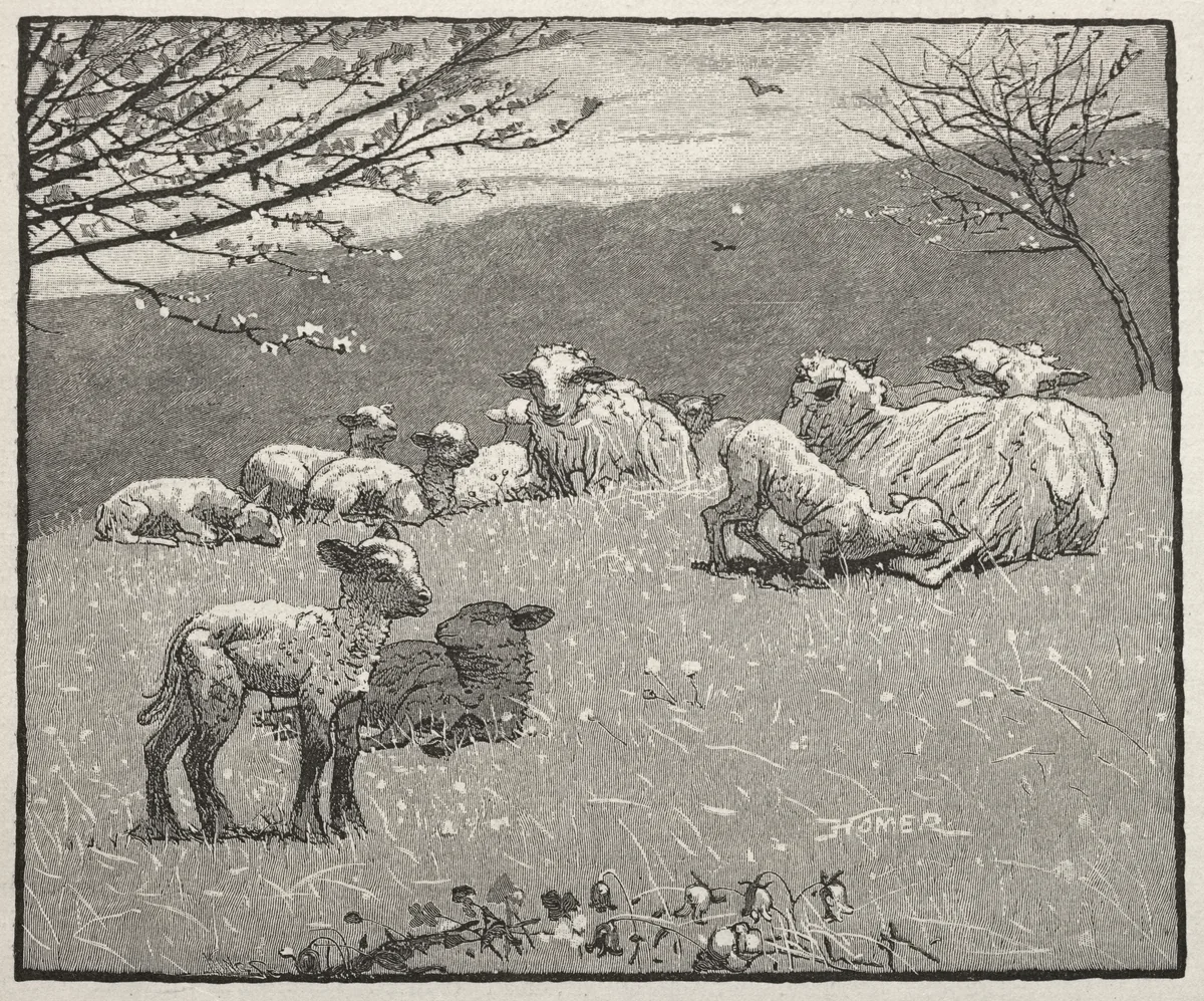 Spring Lamb by Winslow Homer, print, 1880