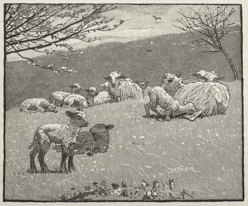 Spring Lamb by Winslow Homer, print, 1880
