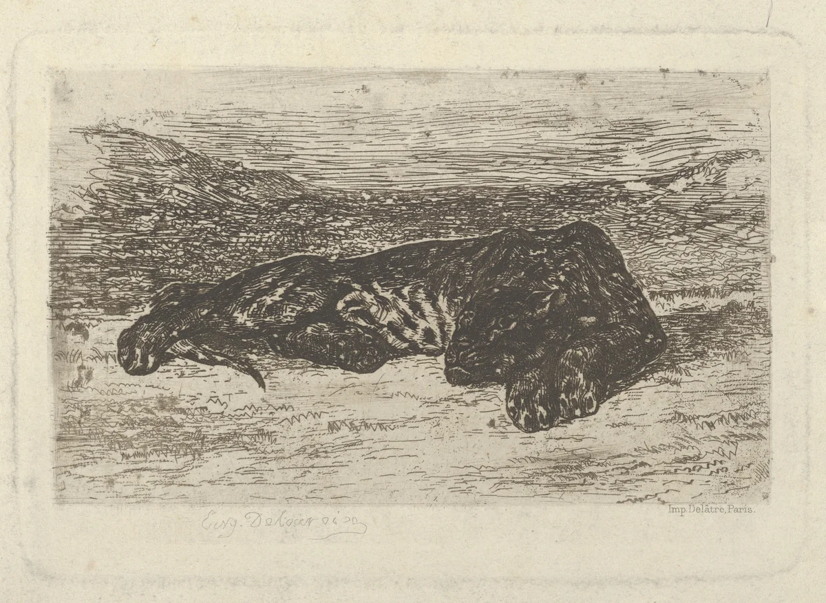 Tiger Lying in the Desert by Eugène Delacroix, print, 1846