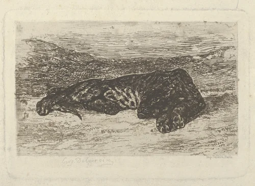 Tiger Lying in the Desert by Eugène Delacroix, print, 1846