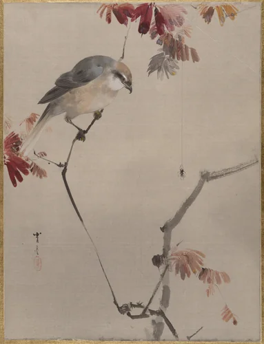 Bird on Branch Watching Spider by Watanabe Seitei (渡辺省亭), painting, 1877-1897