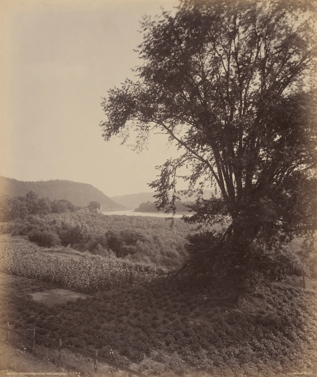 Picturesque Susquehanna, Near Laceyville by William H. Rau, photograph, 1890-1900