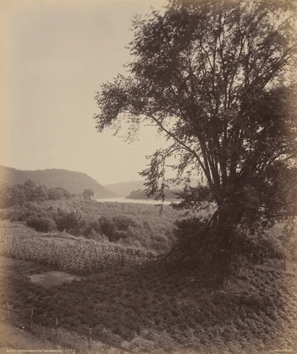 Picturesque Susquehanna, Near Laceyville by William H. Rau, photograph, 1890-1900