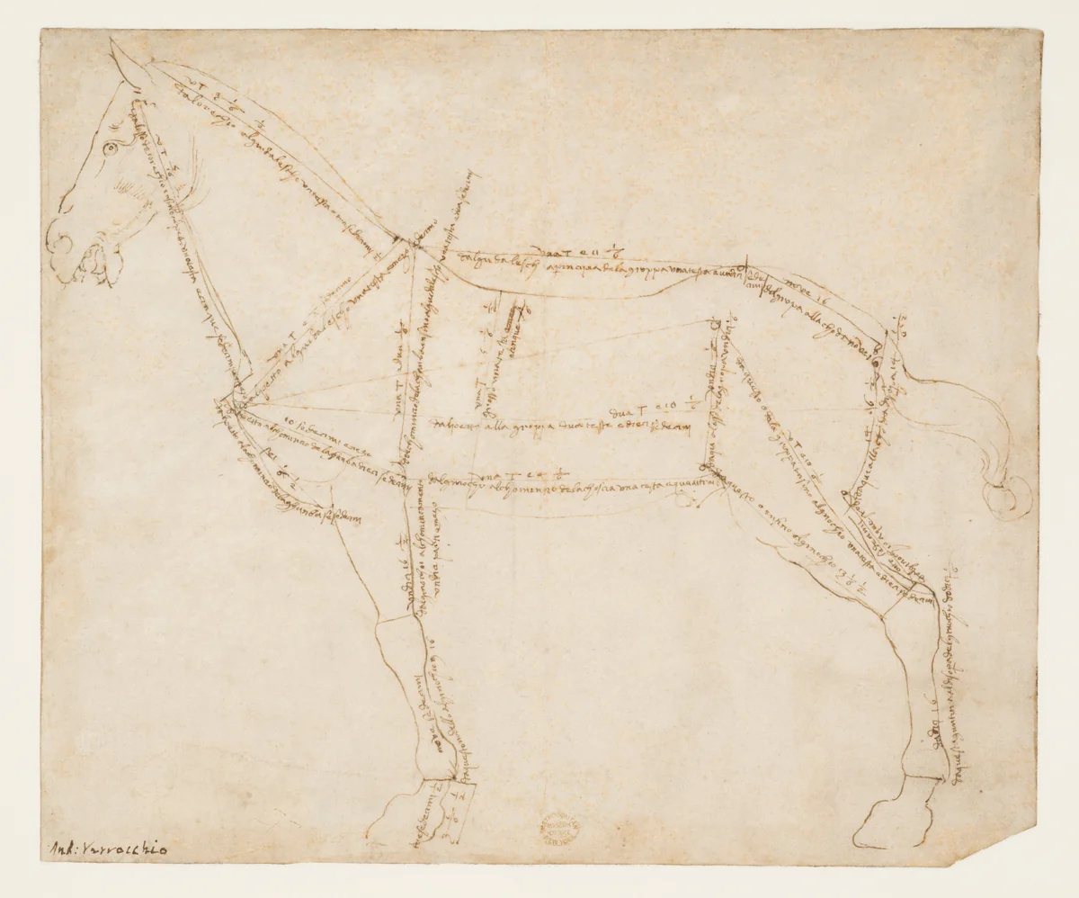Measured Drawing of a Horse Facing Left (recto) by Andrea del Verrocchio, drawing, 1475-1493