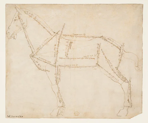 Measured Drawing of a Horse Facing Left (recto) by Andrea del Verrocchio, drawing, 1475-1493