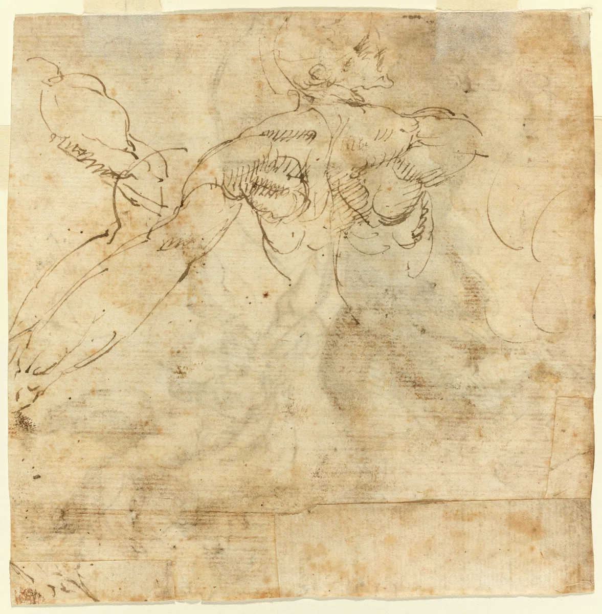 Study of a Back by Giulio Cesare Procaccini, drawing, 1600-1625