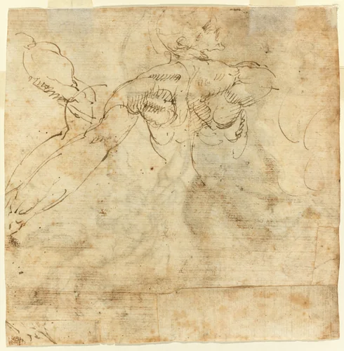 Study of a Back by Giulio Cesare Procaccini, drawing, 1600-1625