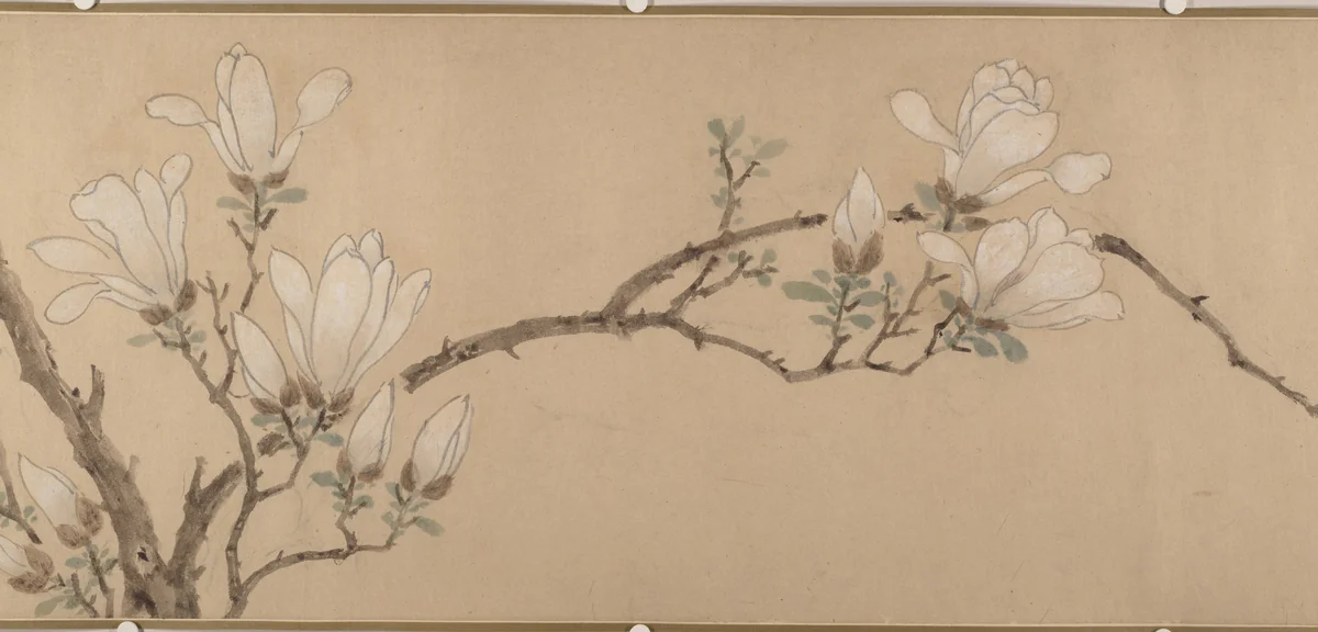 Magnolia by Unidentified Artist, painting, 1549