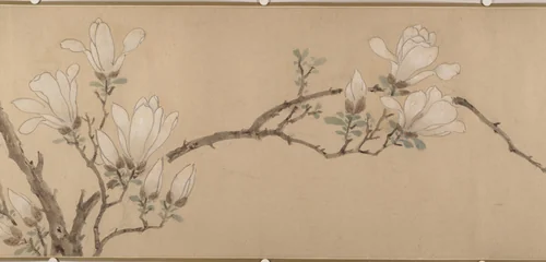 Magnolia by Unidentified Artist, painting, 1549