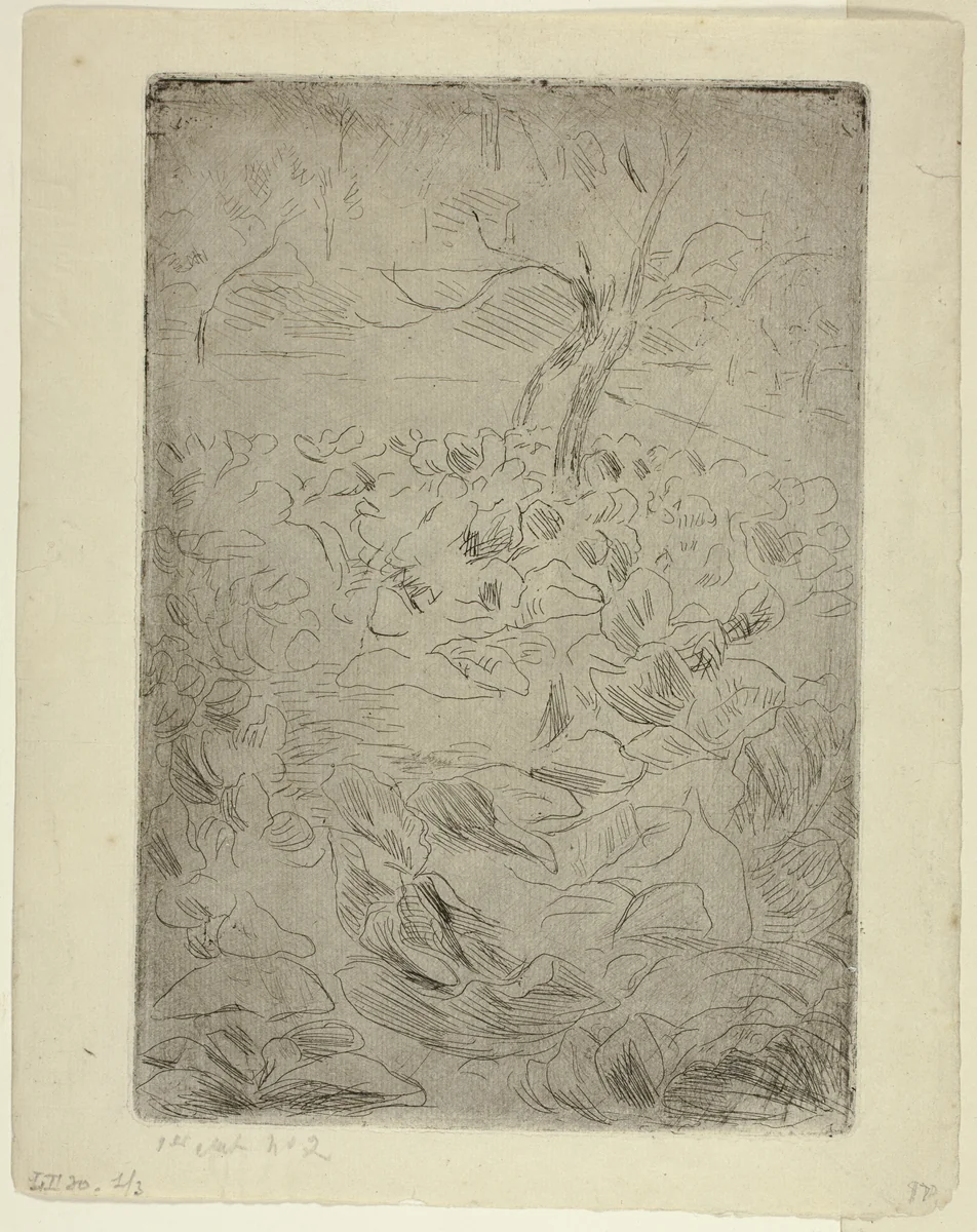 Woman in the Kitchen Garden by Camille Pissarro, print, 1875-1885